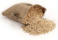 Organic Soft White Wheat Berries