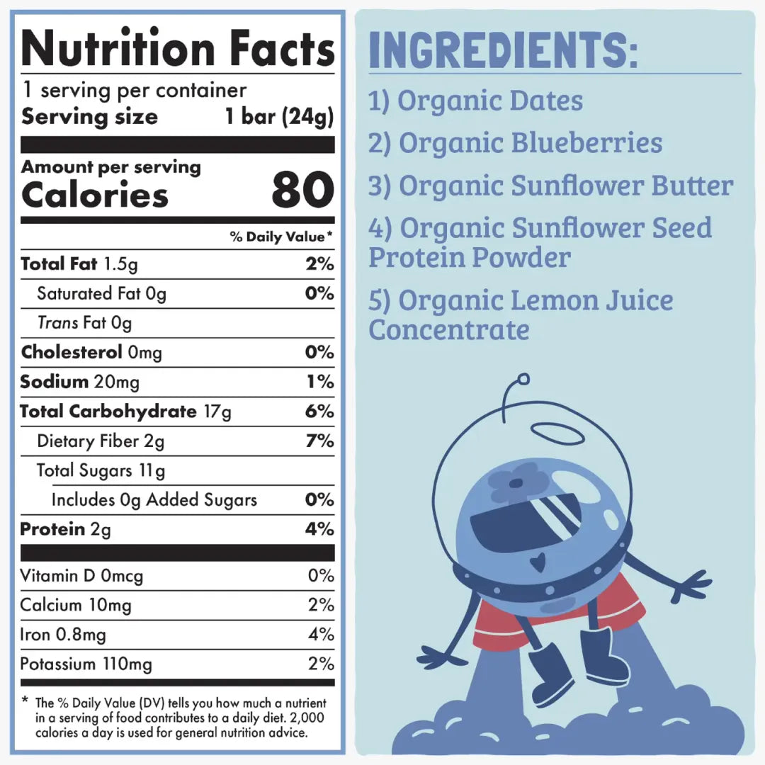 Skout Organic Blueberry Blast Kids Snack Bar