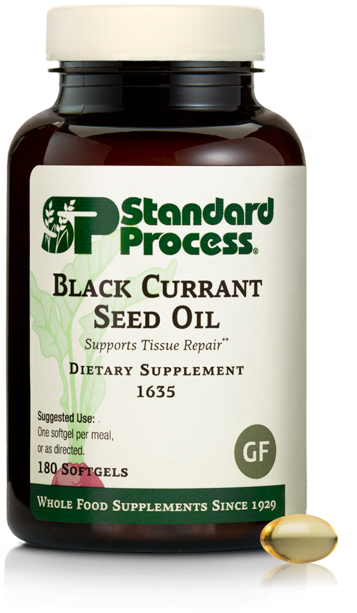 Black Currant Seed Oil