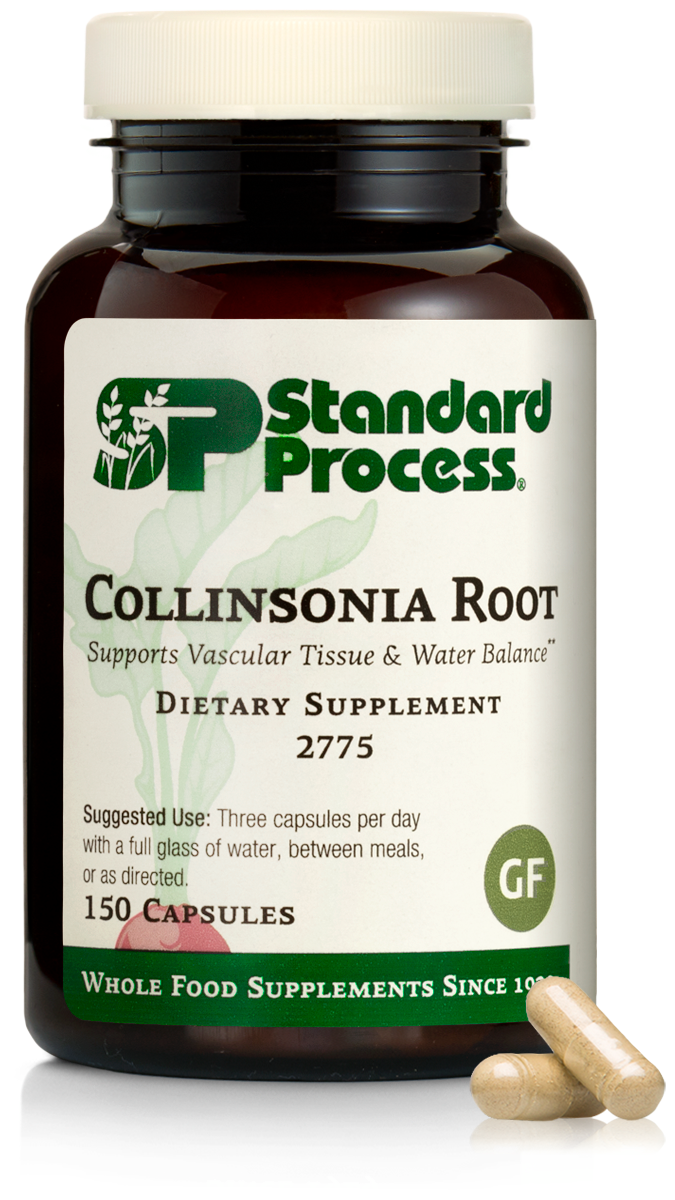 Collinsonia Root
