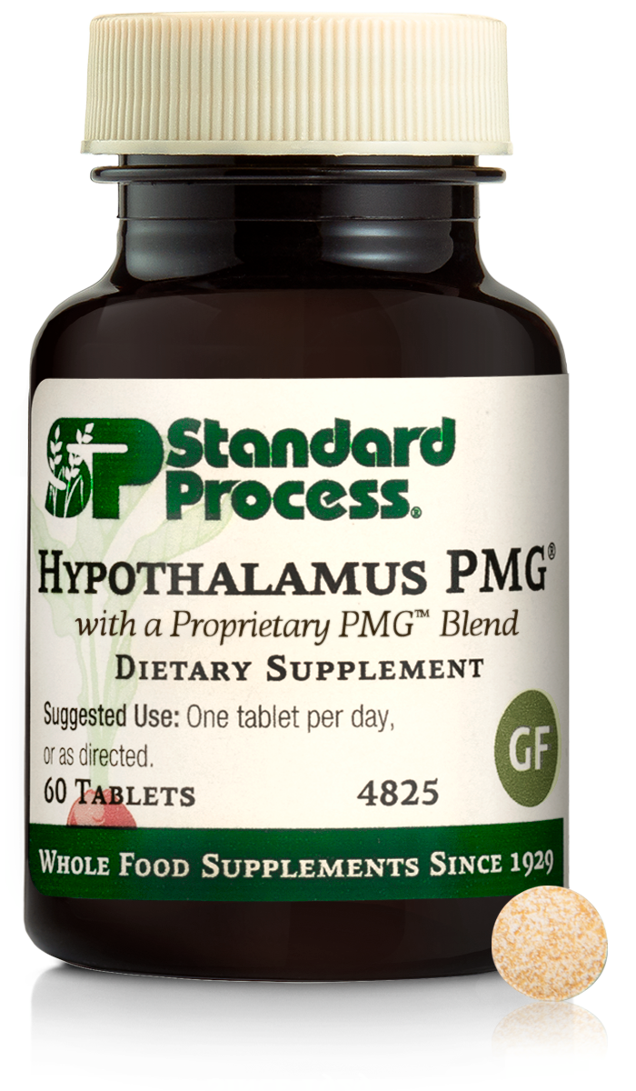 Hypothalamus PMG