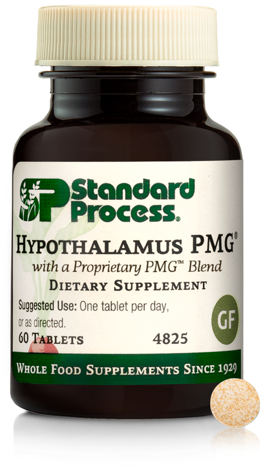 Hypothalamus PMG
