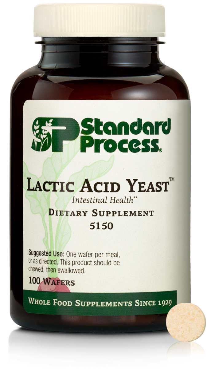 Lactic Acid Yeast