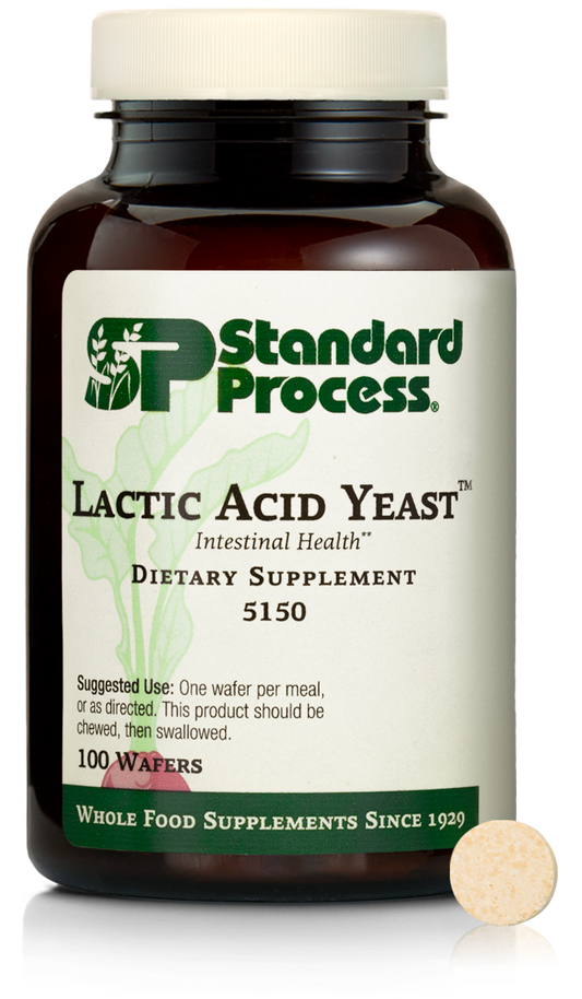 Lactic Acid Yeast