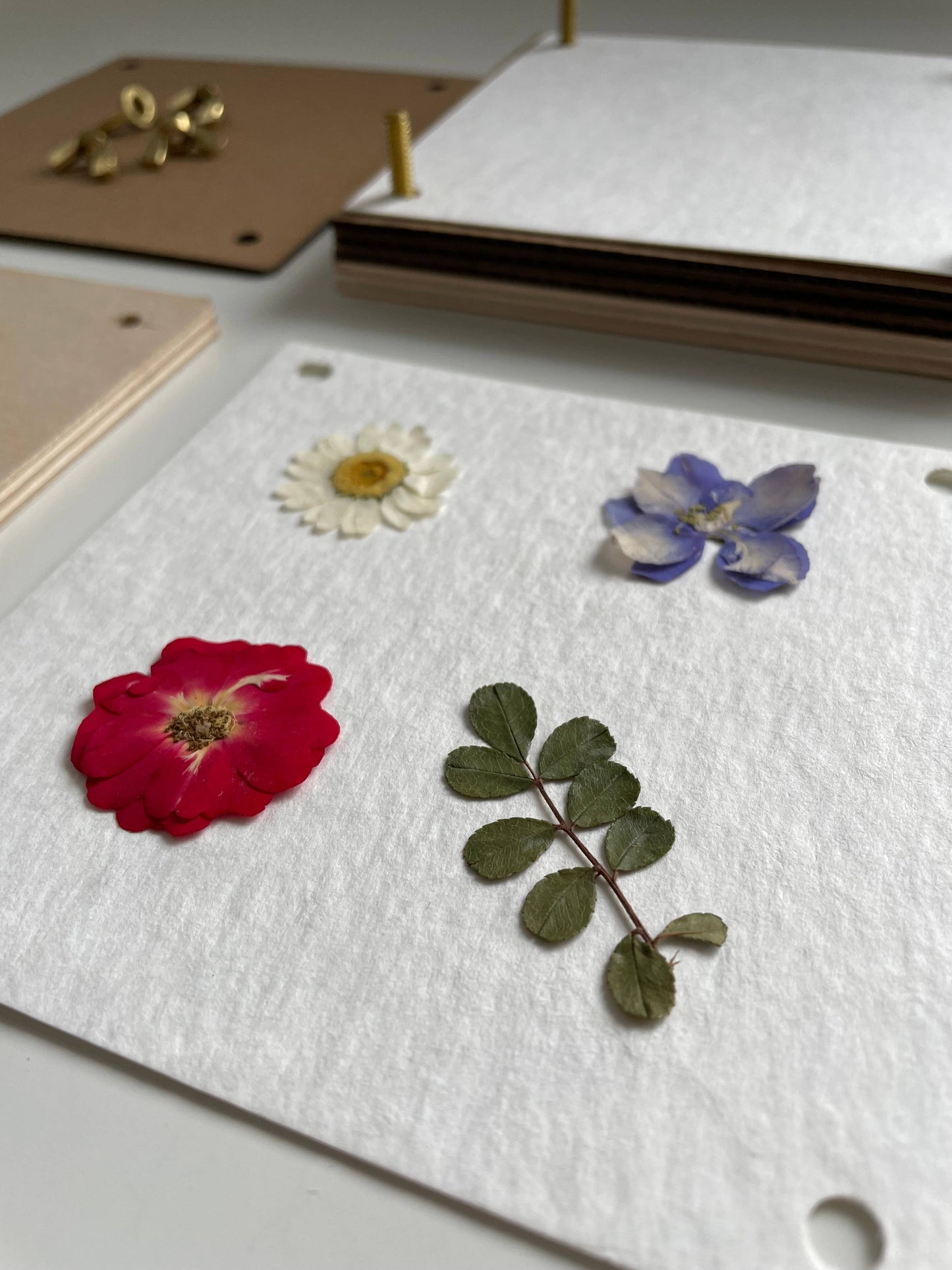 Flower Press Kit - Pressed Floral Accessories