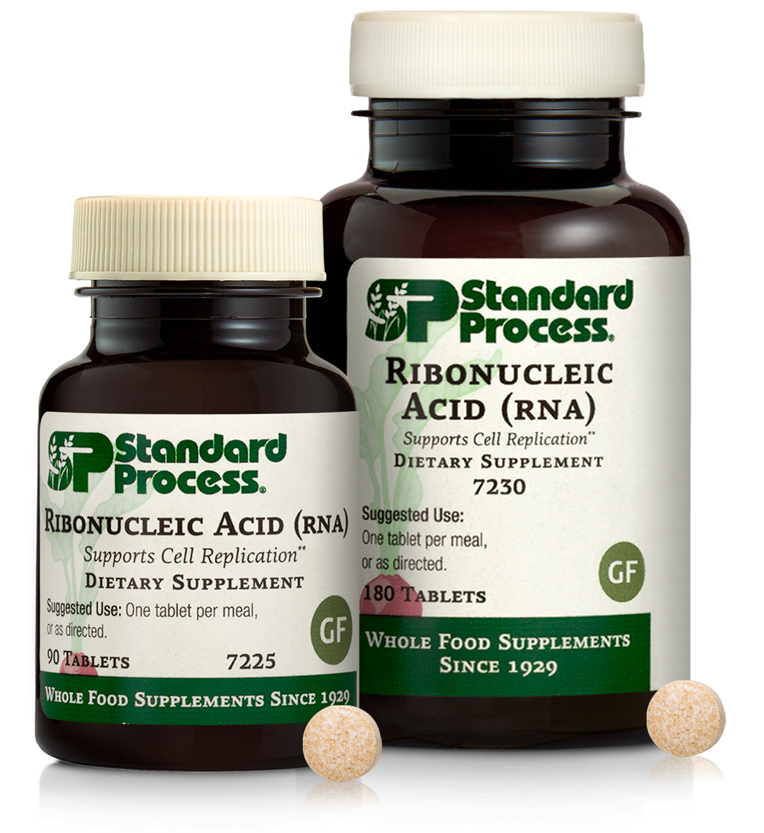 Ribonucleic Acid (RNA)