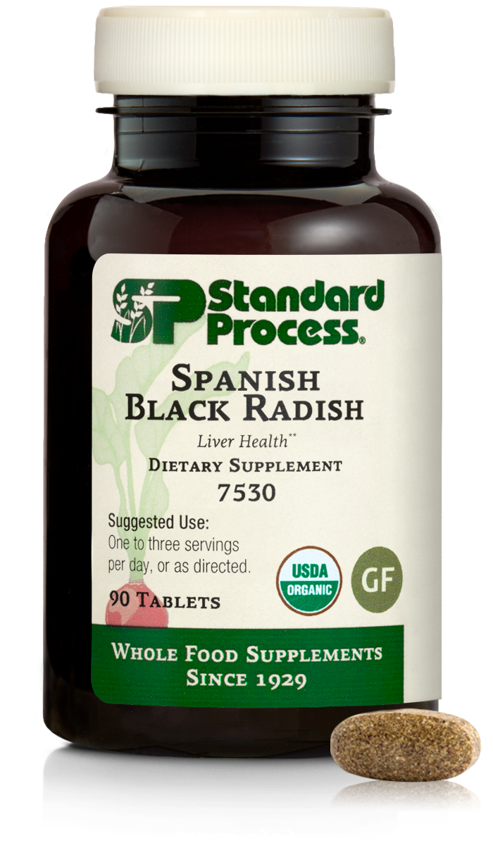 Spanish Black Radish