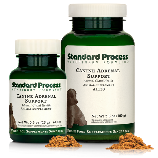 Canine Adrenal Support
