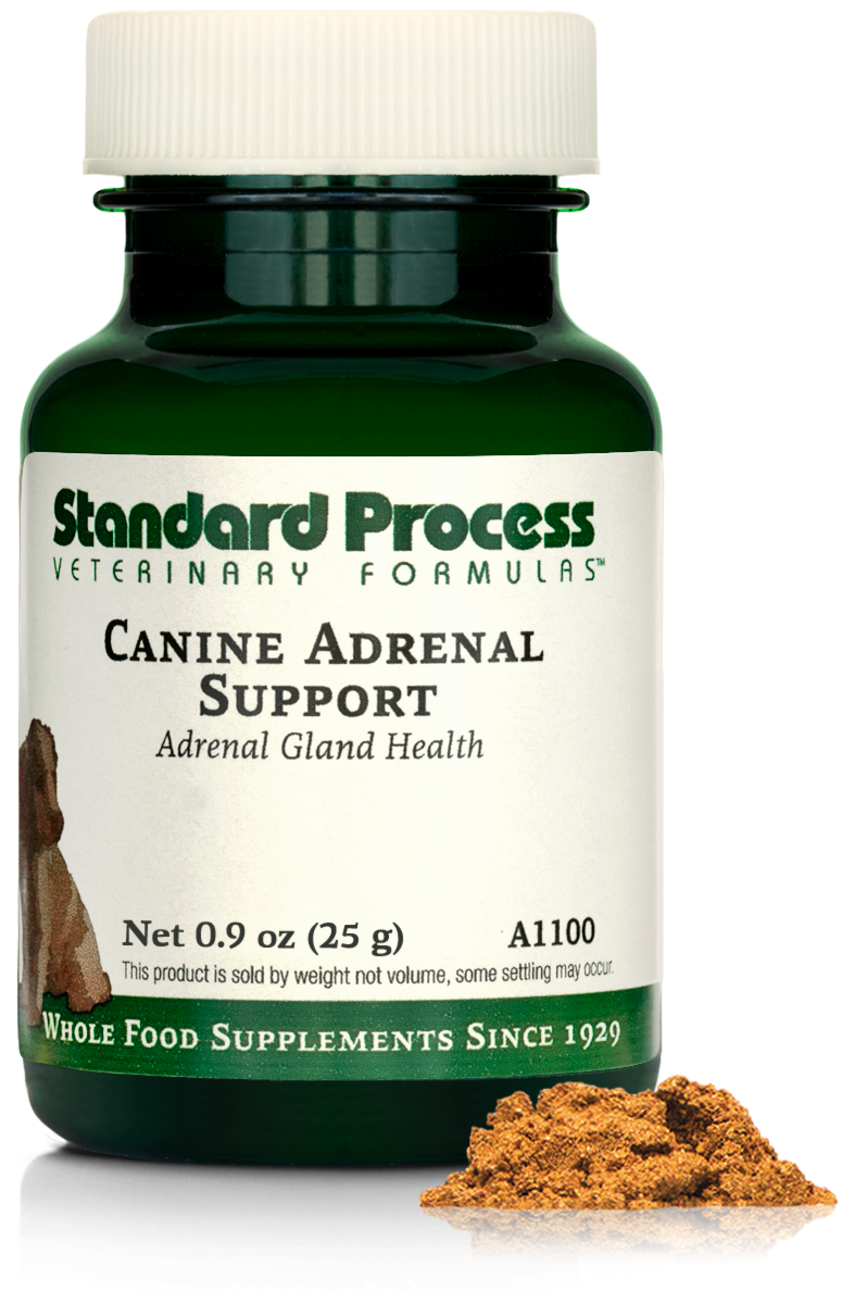 Canine Adrenal Support
