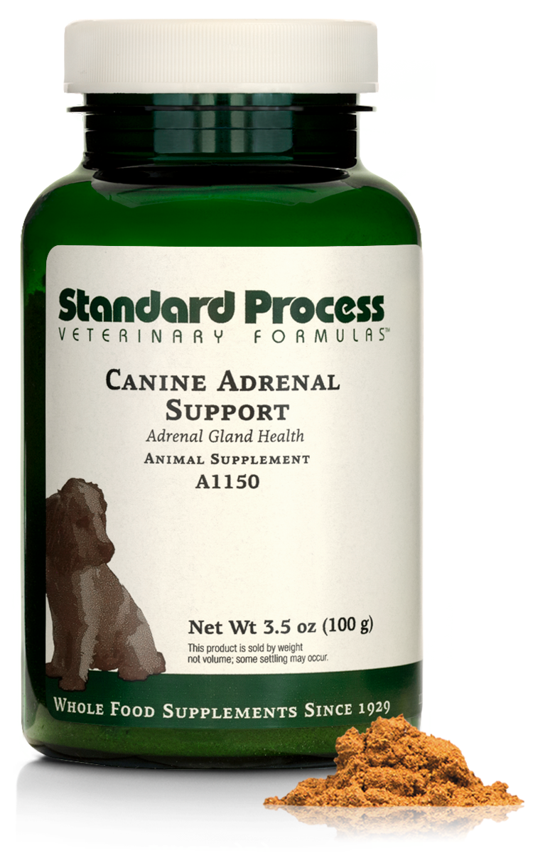 Canine Adrenal Support