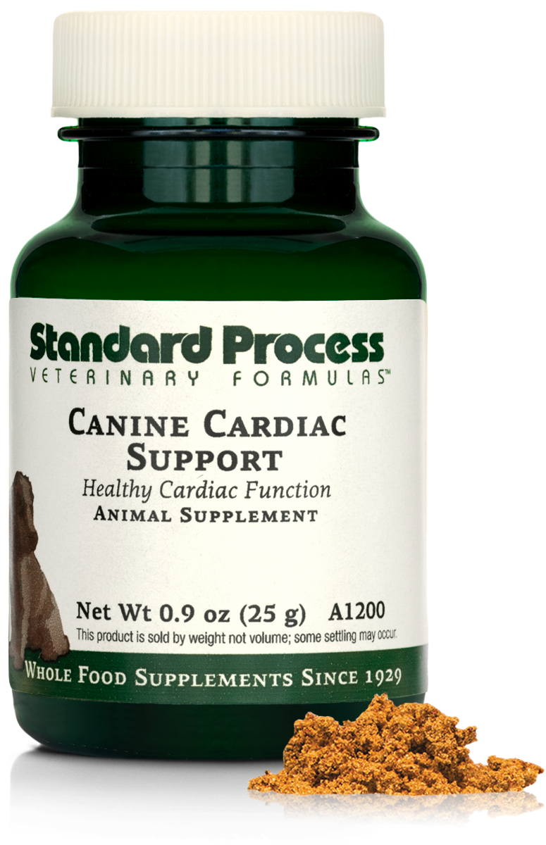 Canine Cardiac Support