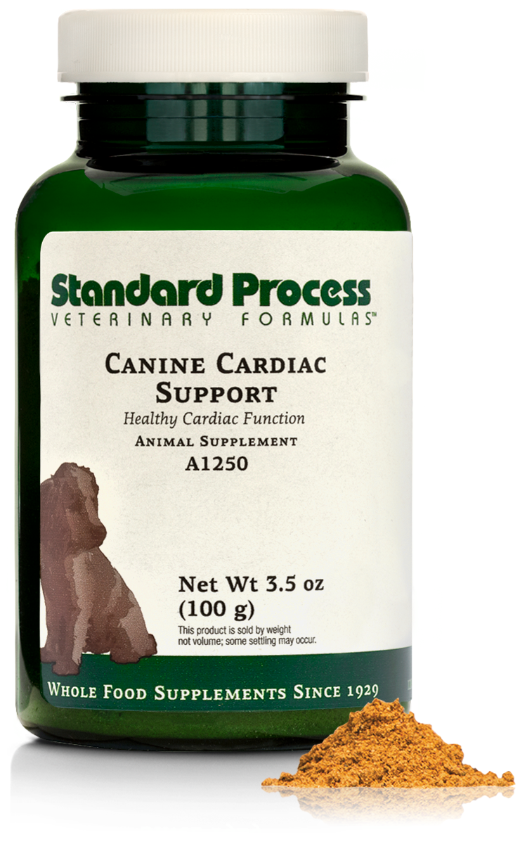 Canine Cardiac Support