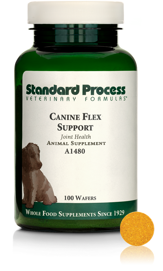 Canine Flex Support