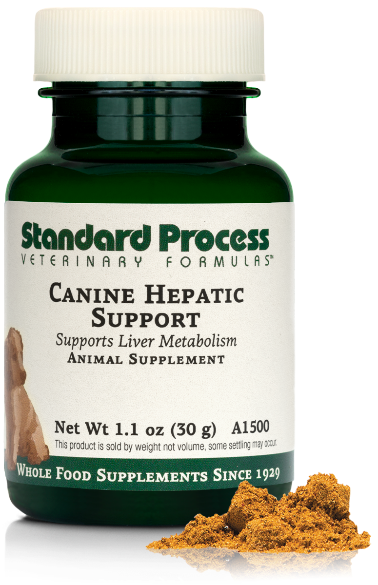 Canine Hepatic Support