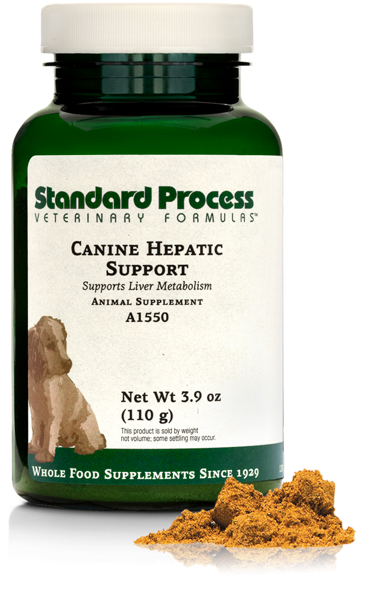 Canine Hepatic Support