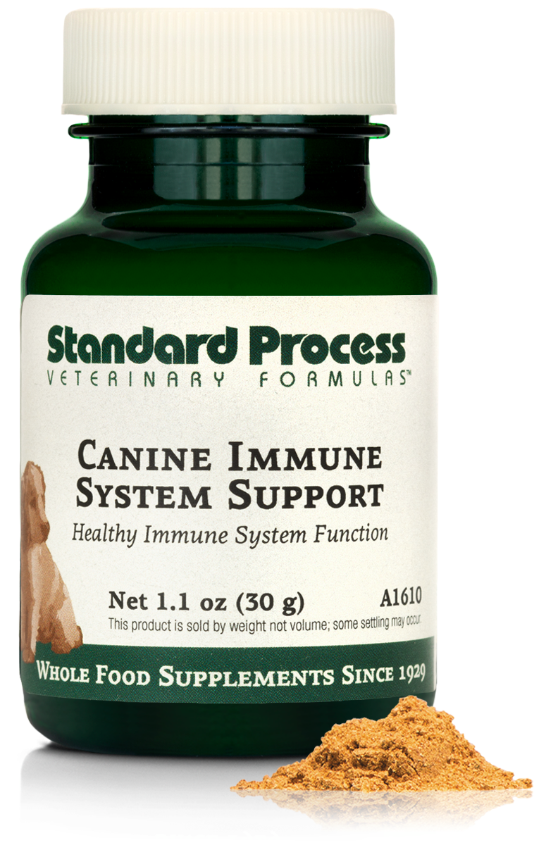 Canine Immune System Support