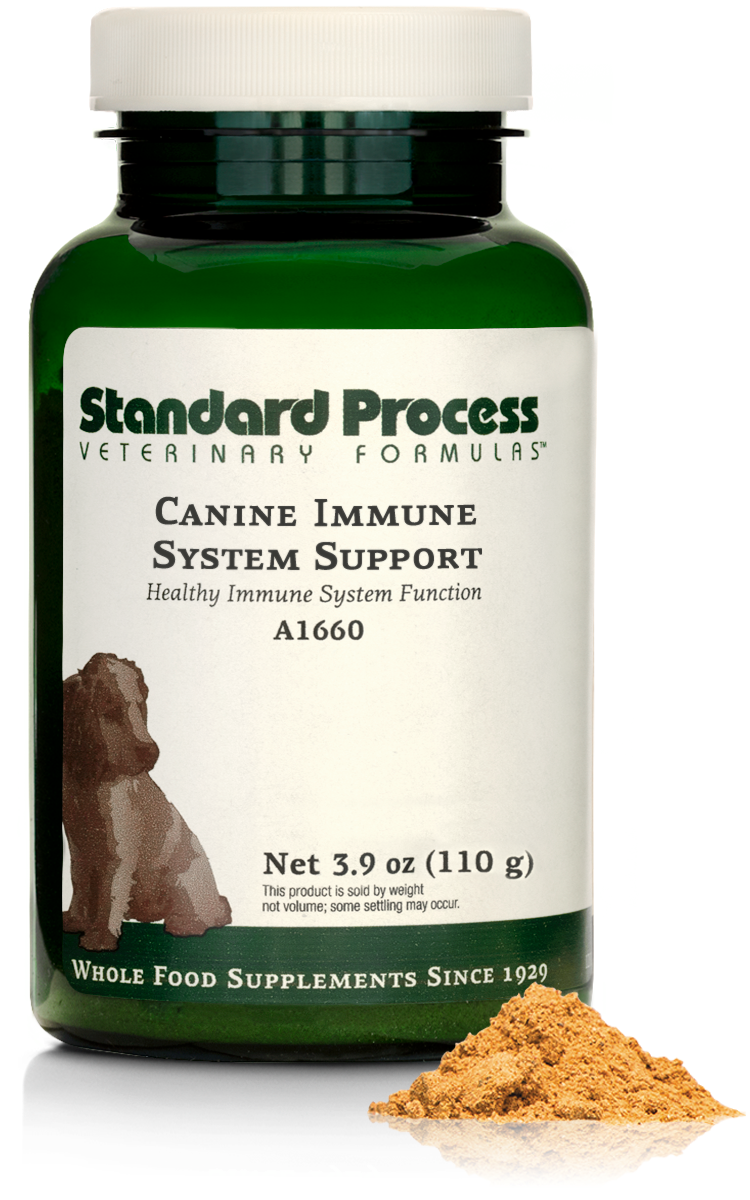 Canine Immune System Support