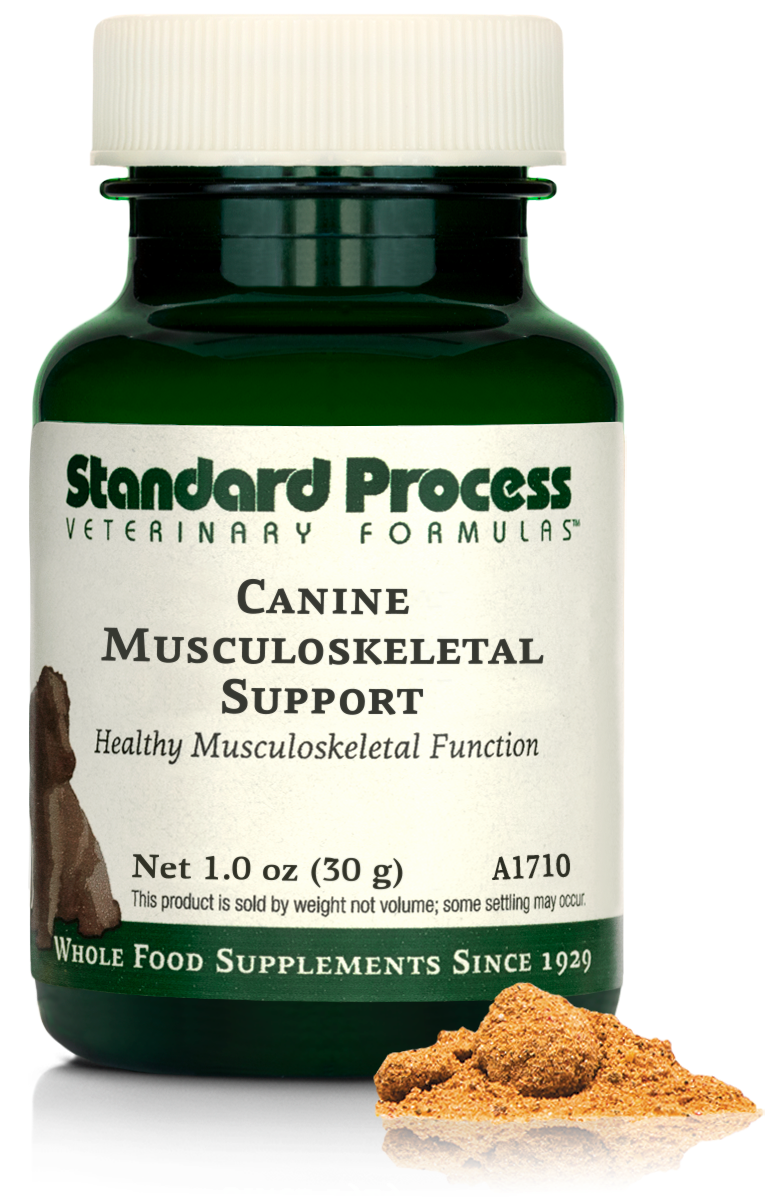 Canine Musculoskeletal Support