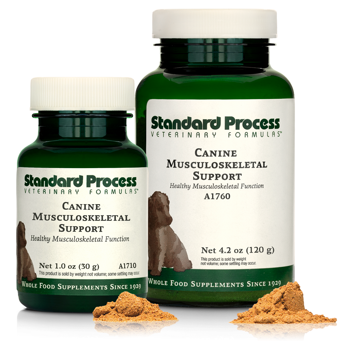 Canine Musculoskeletal Support