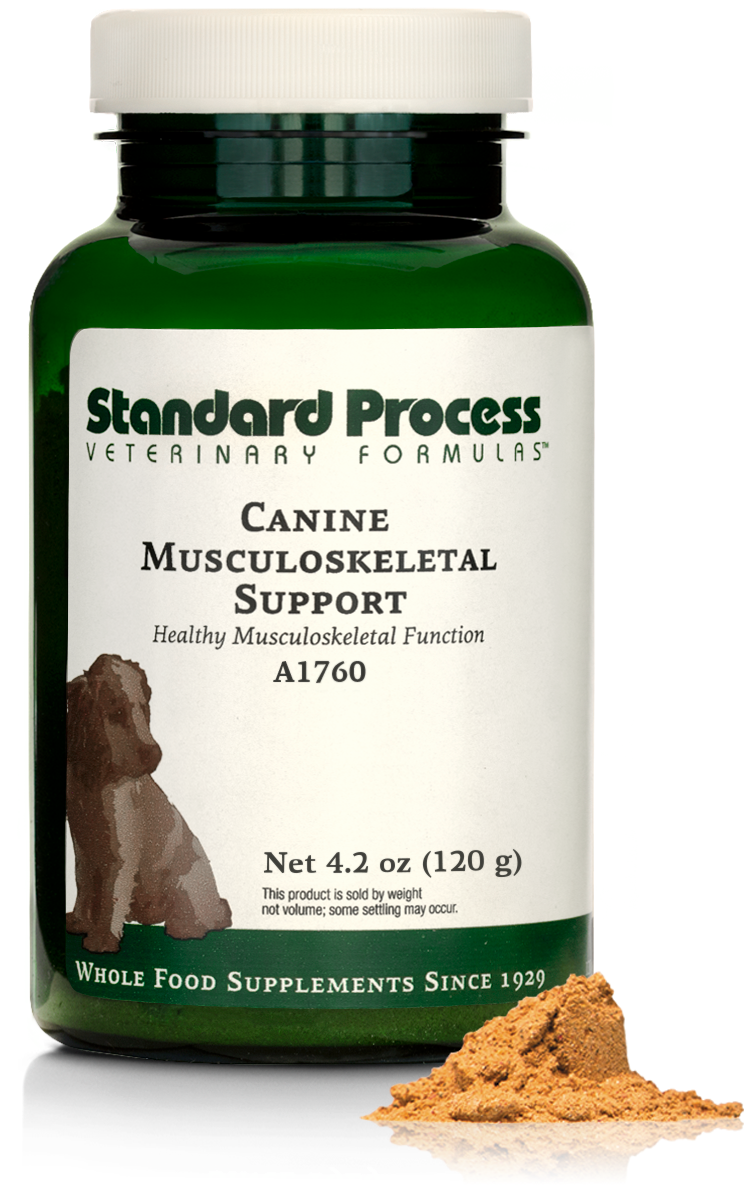 Canine Musculoskeletal Support