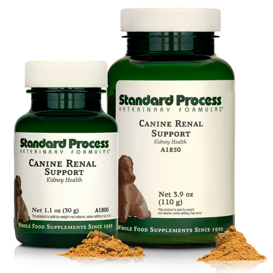 Canine Renal Support