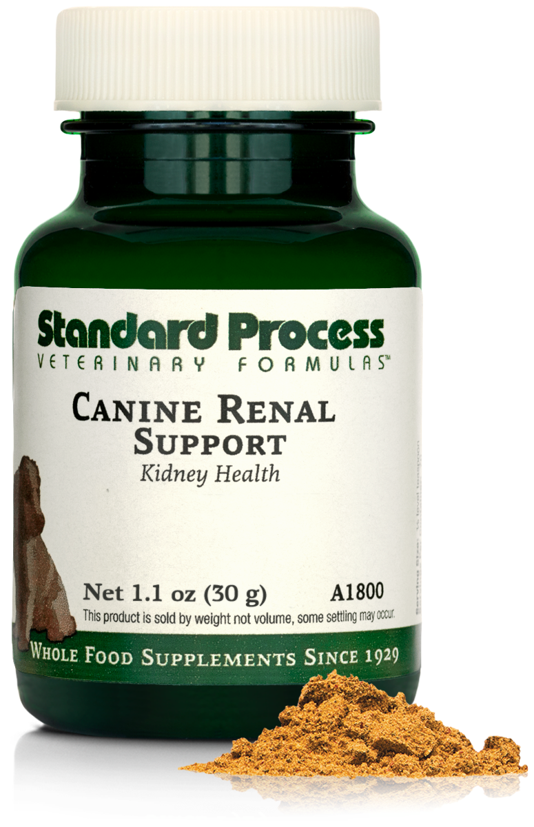 Canine Renal Support