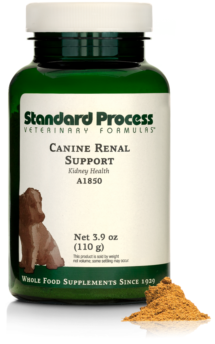Canine Renal Support