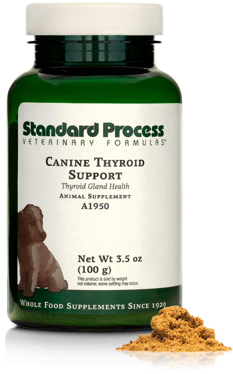 Canine Thyroid Support
