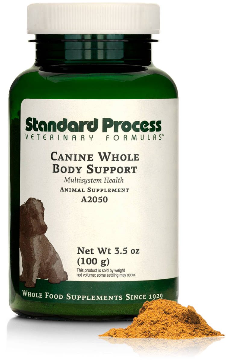 Canine Whole Body Support