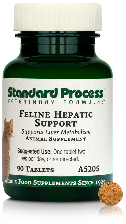 Feline Hepatic Support