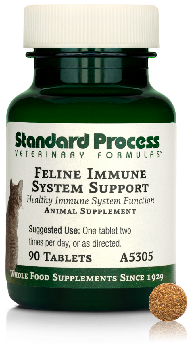 Feline Immune System Support