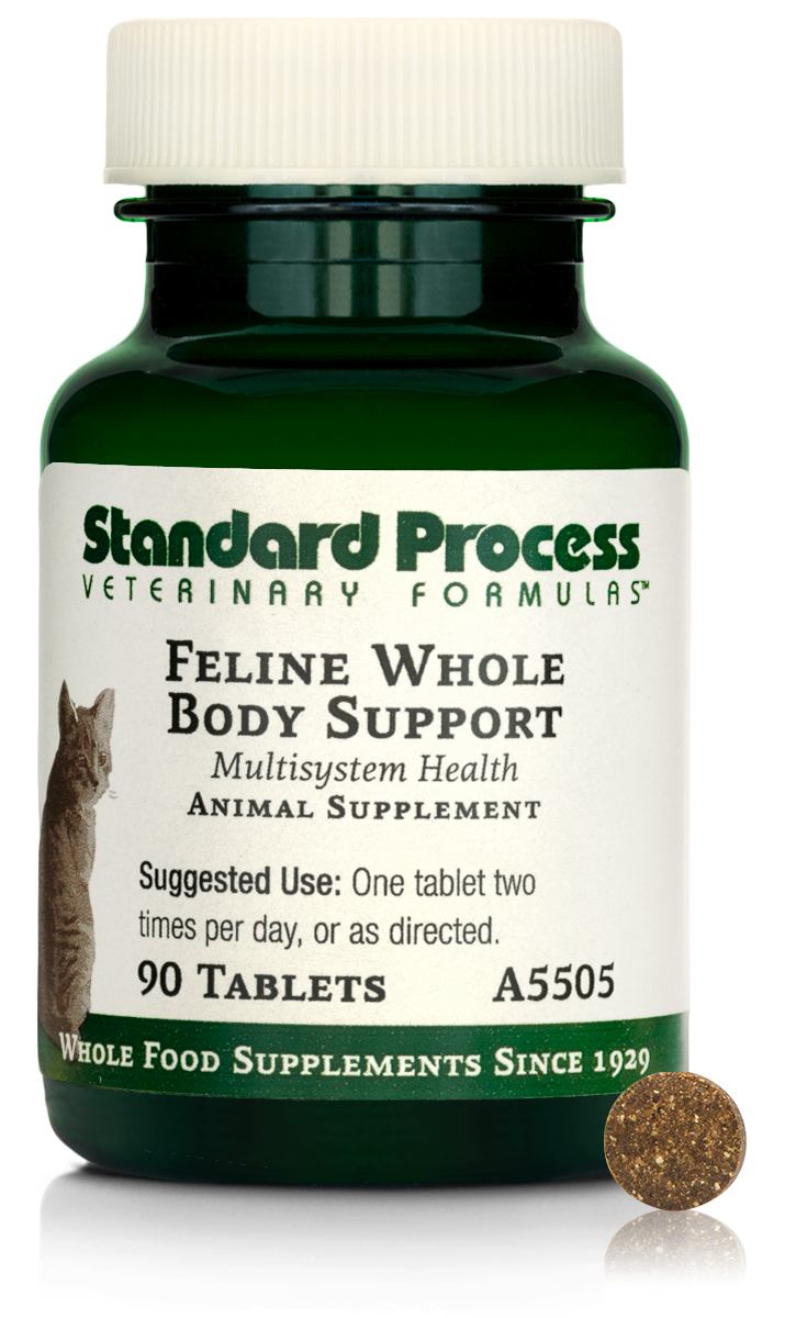 Feline Whole Body Support