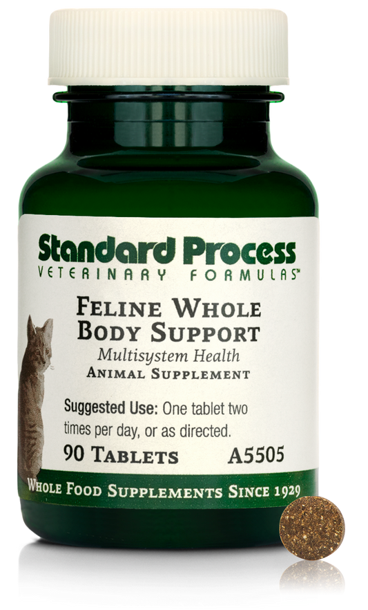 Feline Whole Body Support