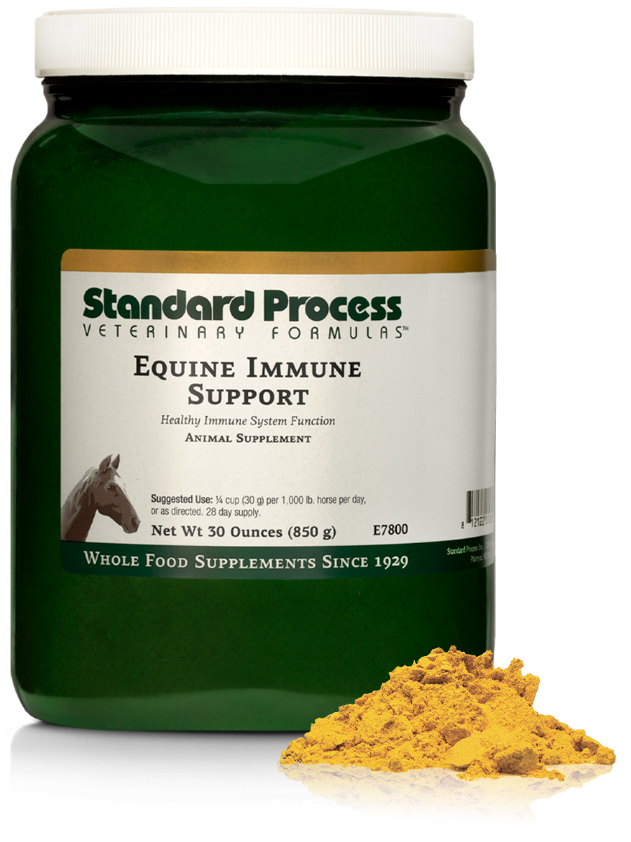 Equine Immune Support