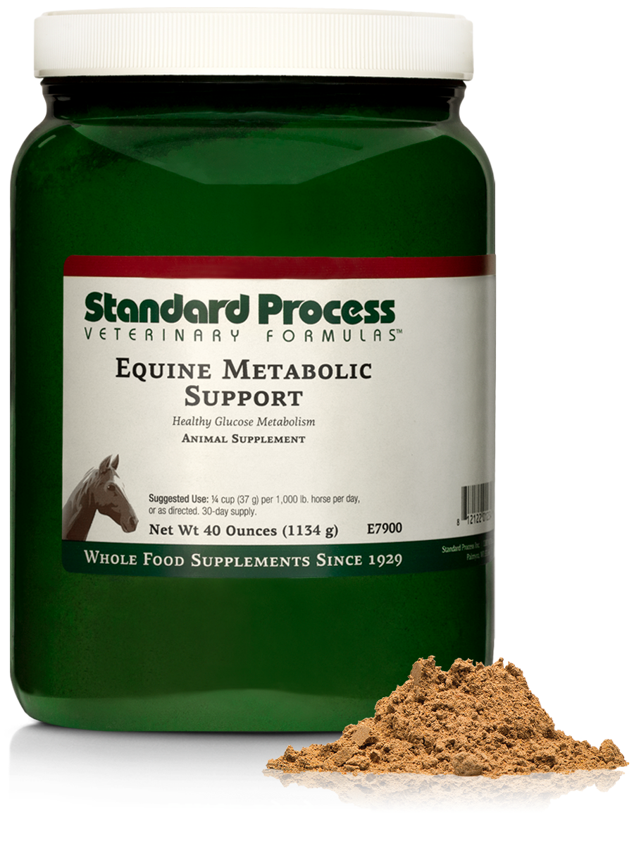 Equine Metabolic Support
