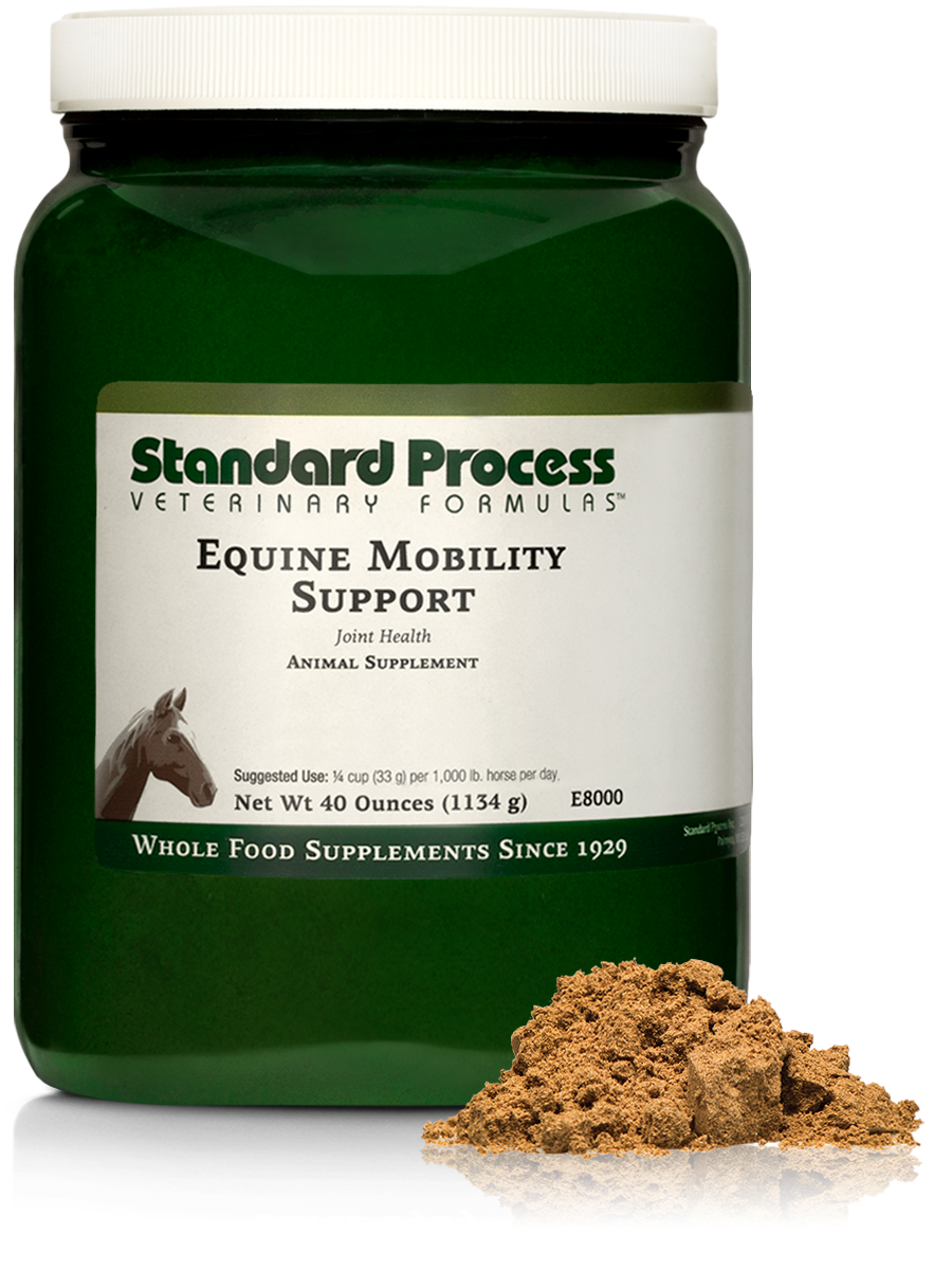 Equine Mobility Support