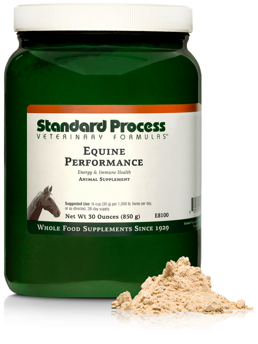 Equine Performance