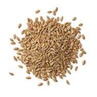 Organic Einkorn
