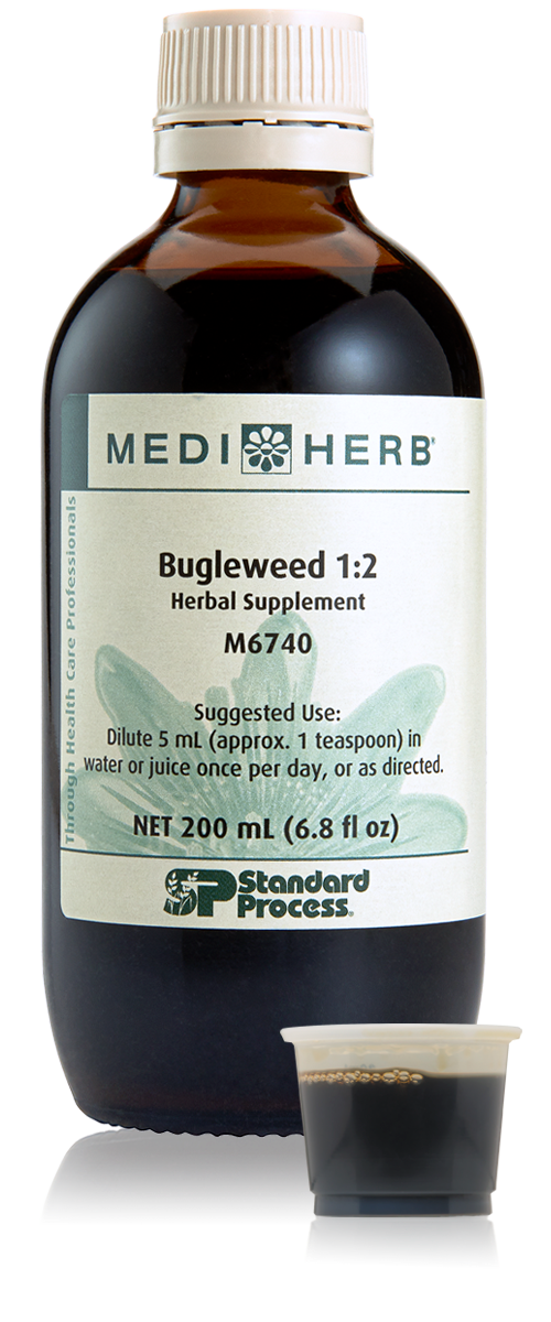 Bugleweed 1:2