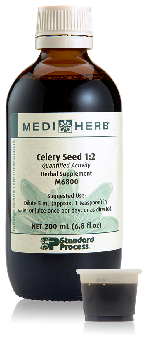 Celery Seed 1:2