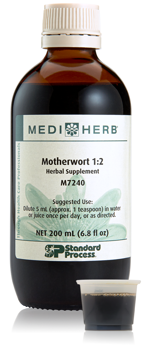 Motherwort 1:2