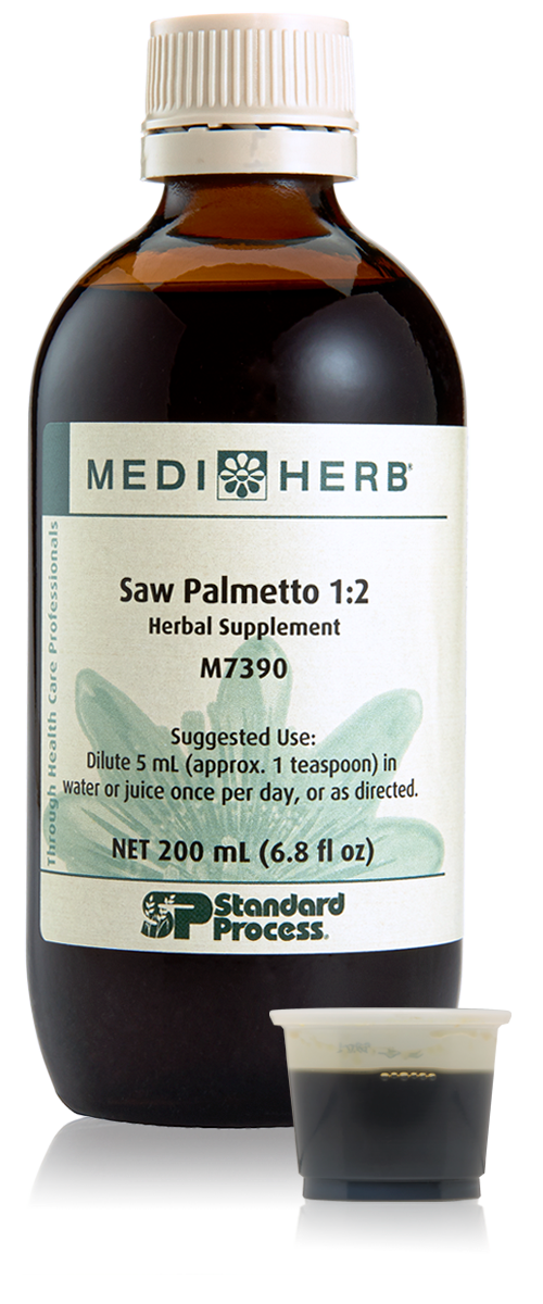 Saw Palmetto 1:2