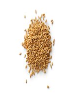 Organic Spelt Berries