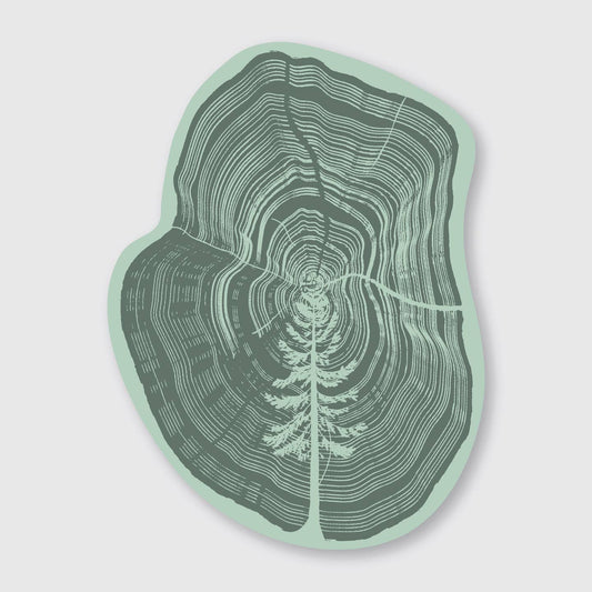 Tree In Tree