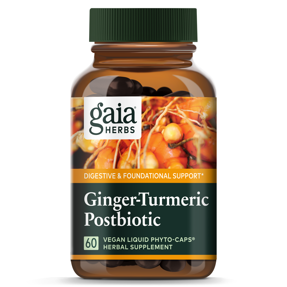 Ginger - Turmeric Postbiotic