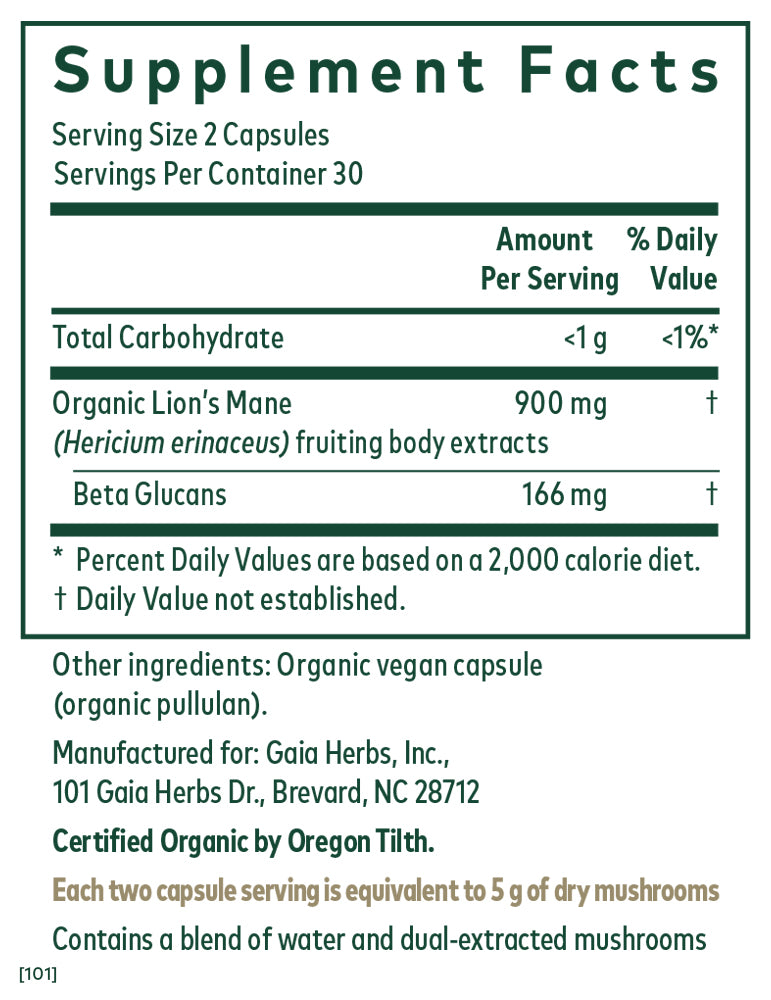Lion's Mane Mushroom