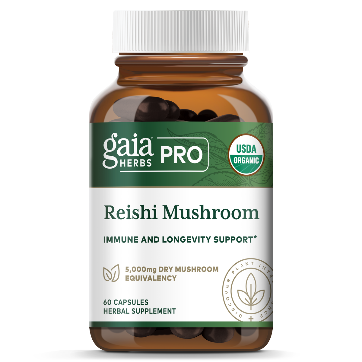 Reishi Mushroom (COG)