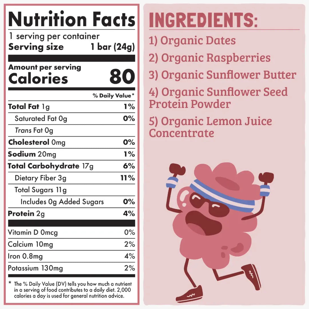 Skout Organic Raspberry Rush Kids Snack Bar