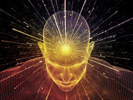 Hypothalamus Reset Technique