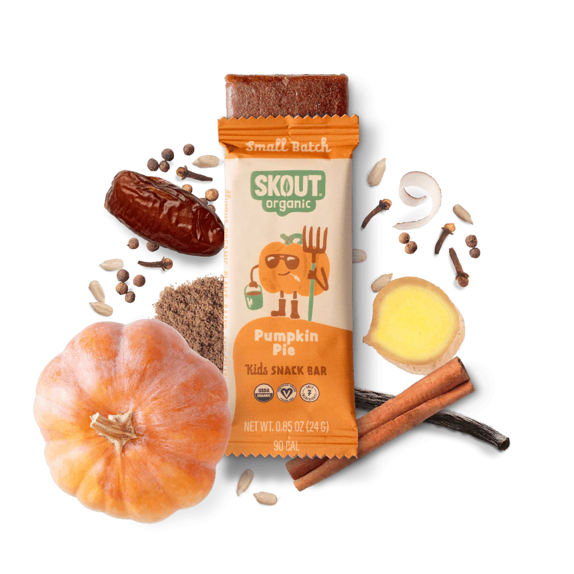 Skout Organic Pumpkin Pie Kids Bar